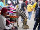 DSC00334.JPG (61000 �o�C�g)