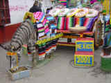 DSC00336.JPG (62638 �o�C�g)