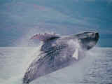 DSCN0545.jpg (31061 �o�C�g)
