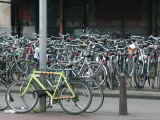 DSCN0559.JPG (174654 oCg)