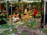 DSCN0618.JPG (80700 oCg)