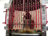 DSCN0709.JPG (75604 oCg)