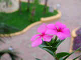 DSCN1098.JPG (26690 �o�C�g)