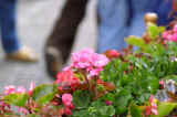 IMG_0376.jpg (26649 oCg)