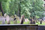 IMG_0402.jpg (37248 oCg)